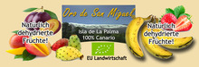 orodesanmiguel.com