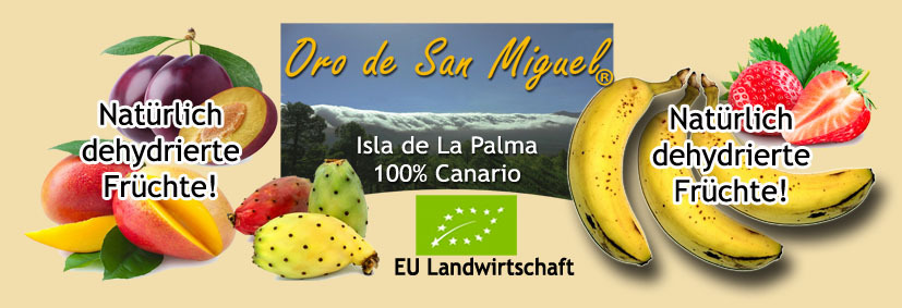 orodesanmiguel.com